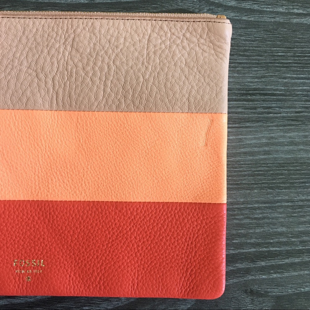 Fossil Pink Stripe Large Clutch - Picture 3 of 12